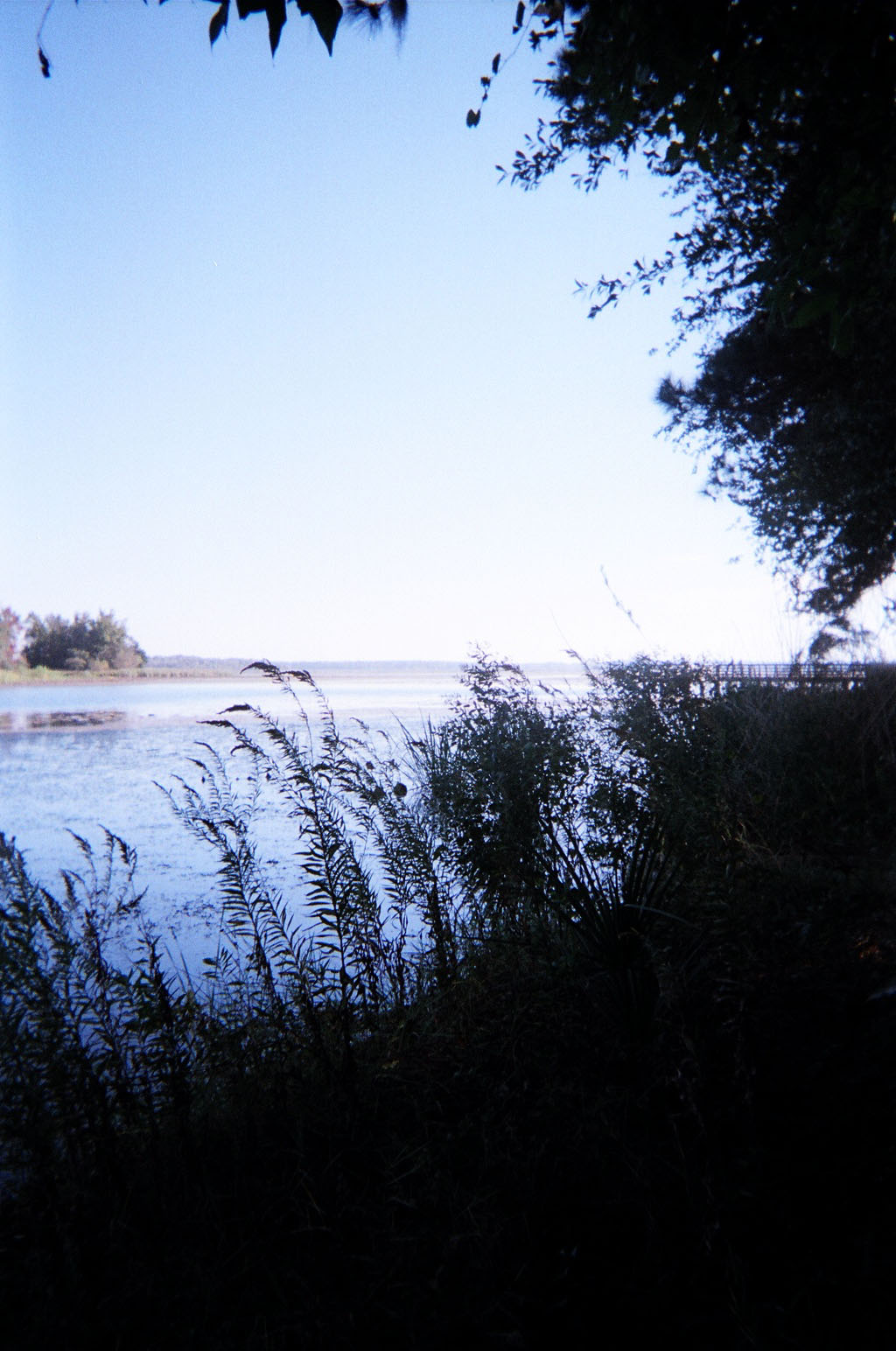 Lake Seminole, view from Fl, photo by cew December