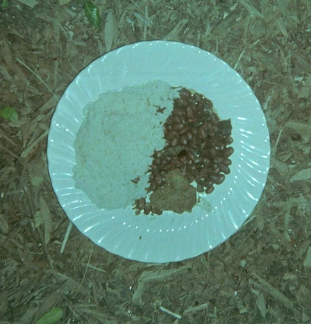 Vegetarian Red Beans and Rice - cew-me - Attribution-share alike
