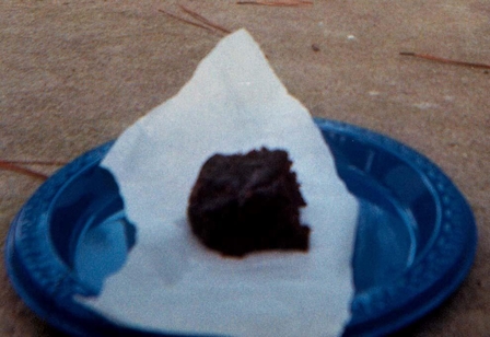 Vegan, Gluten-free, Chewy Pecan Fudge Brownies - cew (me) - Attribution-share alike