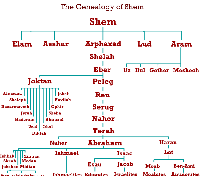 Sleuthing Family History Online: Tips and Resources - drnhawkins / Creative Commons - Attribution-Share Alike 3.0 (http://commons.wikimedia.org/wiki/File:Genealogy_shem.gif)